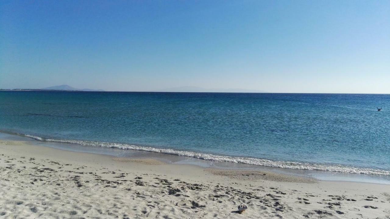 Naxos Is The Way Lägenhet Kastrákion Exteriör bild